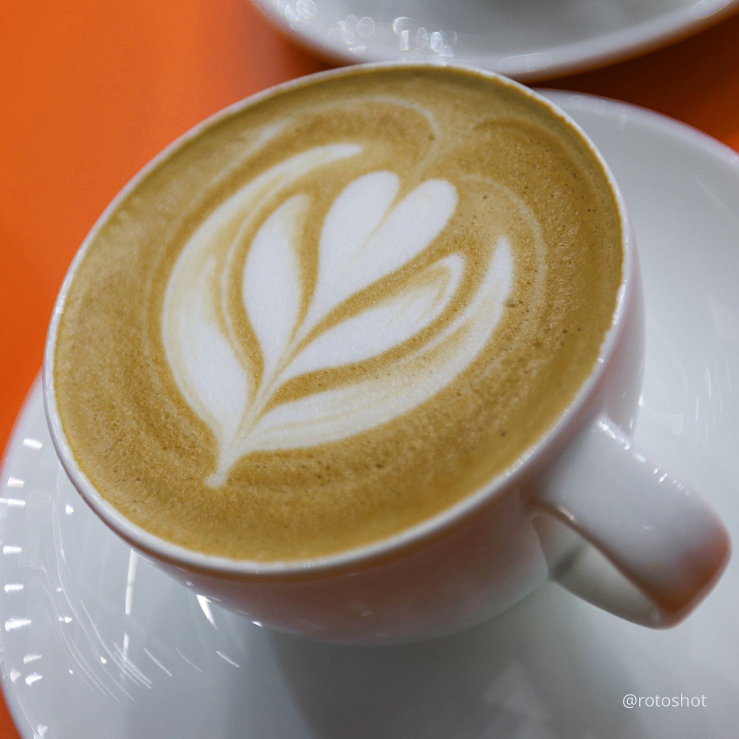 Latte Art Kurs + Goodie und Zertifikat